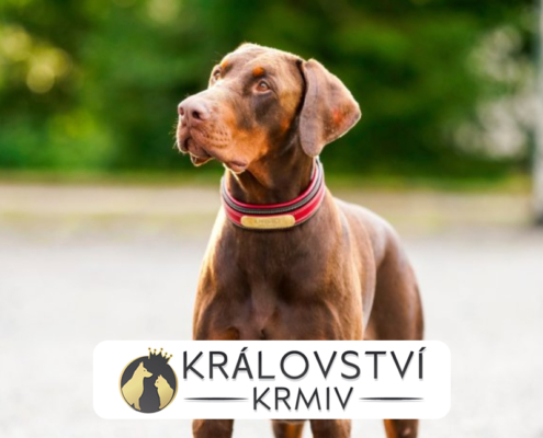 Království krmiv